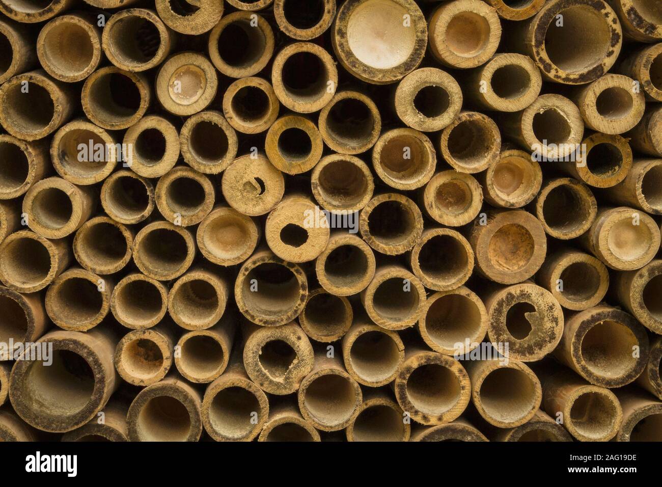Der trockenen Bambus fr Baustoffe gestapelt Stockfotografie - Alamy