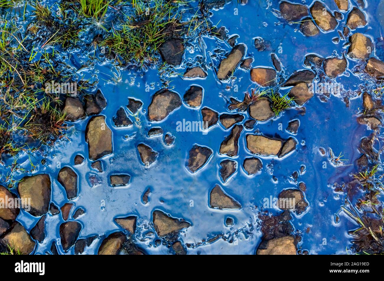 Natürliche aus Torf abgeleitete Kohlenwasserstoffe, die im Sommer auf einem Pool schweben und farbenfrohe Reflexionen erzeugen, auf dem Blacka Moore, in der Nähe von Sheffield Stockfoto