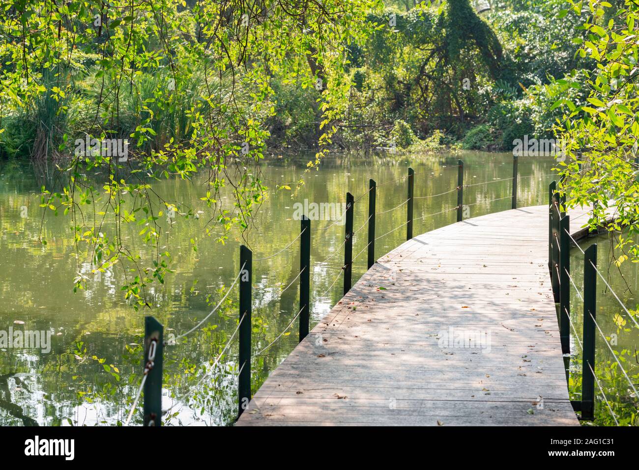 Sumpf Gehweg Halle Ratchamongkhon Suan Luang Rama 9 Park und Botanischer Garten ist der größte in Bangkok, Thailand Stockfoto