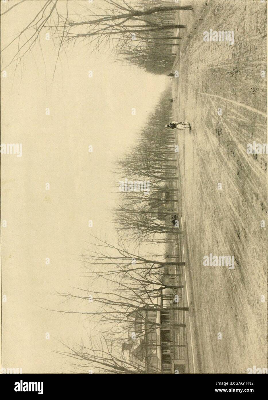 . Aufbau einer Nation und wo Sie ideale amerikanische Häuser bauen. ors - 34^849 1.340 Afonnt von Hypotheken für Investoren - möbliert - $ 3,195,3^5 $ 6,697,288 $ 12,919,591 CO U INJ S E L : Stephen S. Nash, Reich. rd Ixgr. h.m, (George F. Demarest, Neweli; Martin.t f*u st e e s: George G. Williams, Eugene Kelly, Alexander E Orr, Orlando B. Potter, John T. Martin, James D. Lynch, William M. Ingraham, Hugo Wesendonck, William H. Männlich, Julien T.Davies, John Jacob Astor, John Forsyth, Benjamin D. Hicks, Emil Oelbermann, Martin Joost, John Hicks, Ellis D. Williams, Samuel T. Freeman, Charles R. H Stockfoto