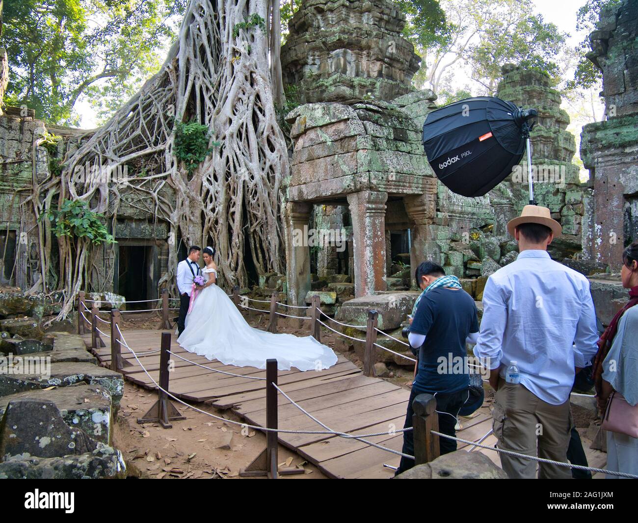 Ein paar haben vor - Hochzeit Bilder vor einem Banyan Tree über Tempel Ruinen von Ta Prohm in der Angkor Archäologische Park in Siem Rea wachsenden genommen Stockfoto