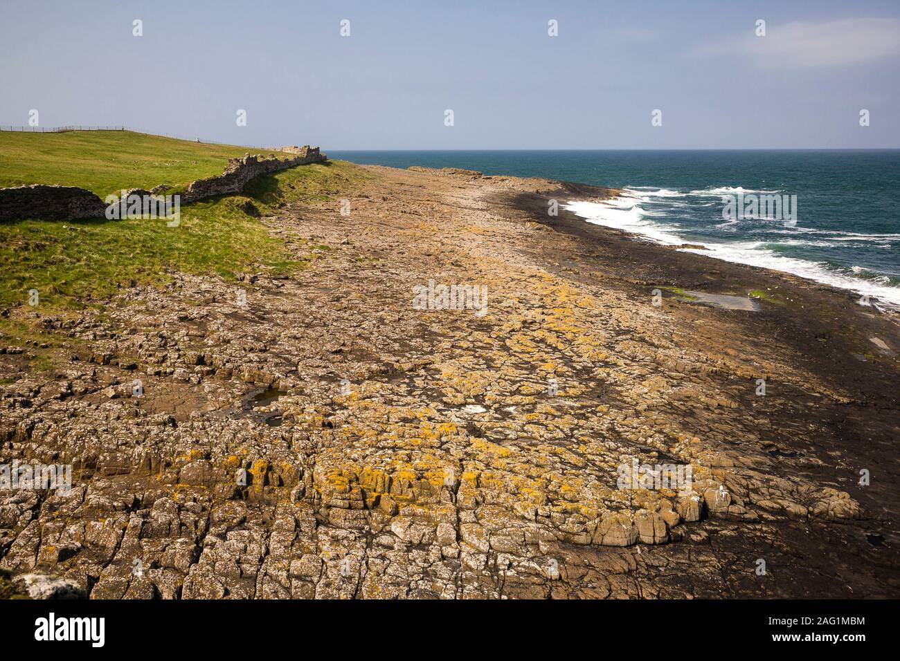 Küsten Flechten, einschließlich Xanthoria parietina, wächst an Whin Sill Felsen, Northumbria. Stockfoto