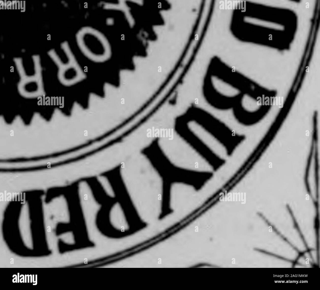 . Raleigh Christian Fürsprecher: Organ der North Carolina Konferenz, M.E., südlich der Kirche. Die Göttin - Knowledgelstan. bereit, Jede iuteresitd s zu beauftragen. eitersthe udeat, die Türen unserer colW ge. Cou-ses thoroughand nicht ein siugle) 4 IA&lt; iuate hat extor ratierliche Pr C!*?, Ji. PEELES BUSINESS COLLEGE, Raleigh, N.C. AffJIVS IfffJ. Ich^ . jufONoaiantiisji kaufen Kaufleute. Stockfoto