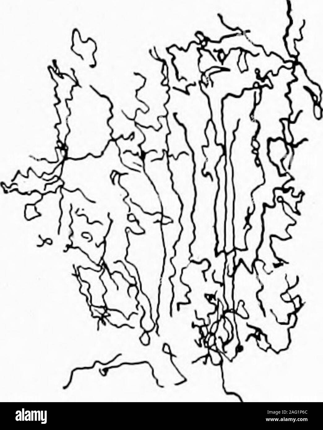 . Studie von Stoffen. heshoddy hängt von der Qualität und den Wert des Materials, aus dem es gemacht wird. Die bestquality ist von Strickwaren- und wor-sted Materialien, wenn gute Wolle in der ersten Stelle verwendet wurde. Um sicher zu sein, es ist nicht so stark wie ursprünglich itwas. Die Belastung in die verschiedenen Prozesse, durch die es hat passedhas die Fasern geschwächt mehr oder lesserdegree durchgemacht. Doch in vielen Fällen ist es nicht getragen outby. Die gefilzte wolle Materialien, die kurze weniger Fasern geben. Es Verwendung gesagt, dass alles mit zwei Enden kann bespun. Wenn wir finden, nicht mehr als Stockfoto