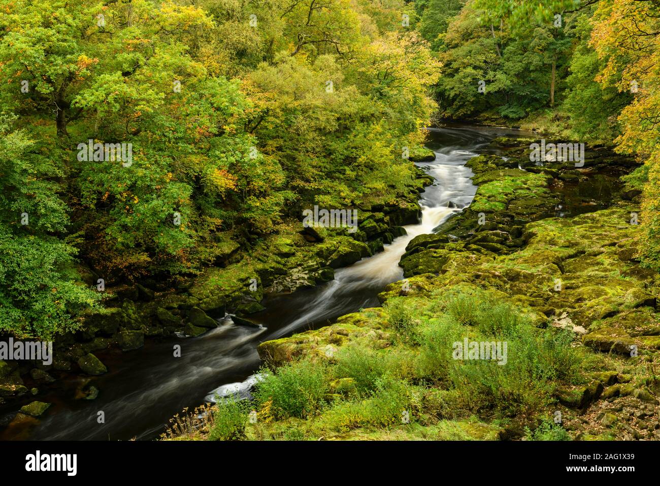 Hohe Aussicht auf River Wharfe durch die malerischen engen steilen Tal fließt durch Strid Holz - Bolton Abbey Estate, Yorkshire Dales, England, Großbritannien begrenzt. Stockfoto