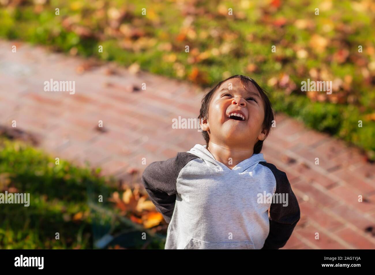 Ein kleiner Junge lachen und Glück als er blickt hinauf in den Himmel, während im vorderen Hof während der Herbstsaison. Stockfoto