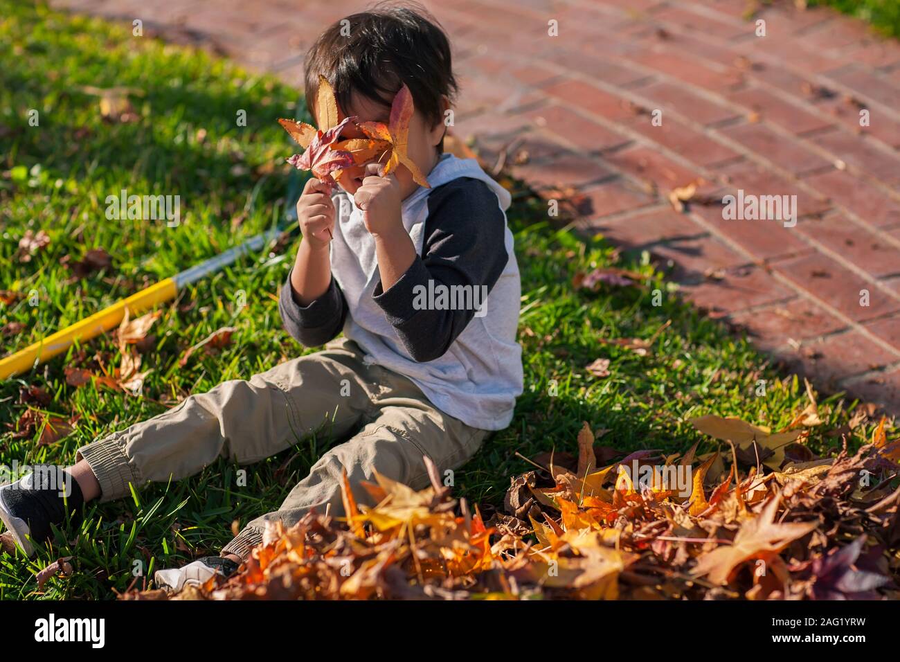 Jungen Sohn sitzen im nächsten Herbst Blätter im Vorgarten geharkt und deckt seine Augen mit zwei Blätter im Herbst. Stockfoto