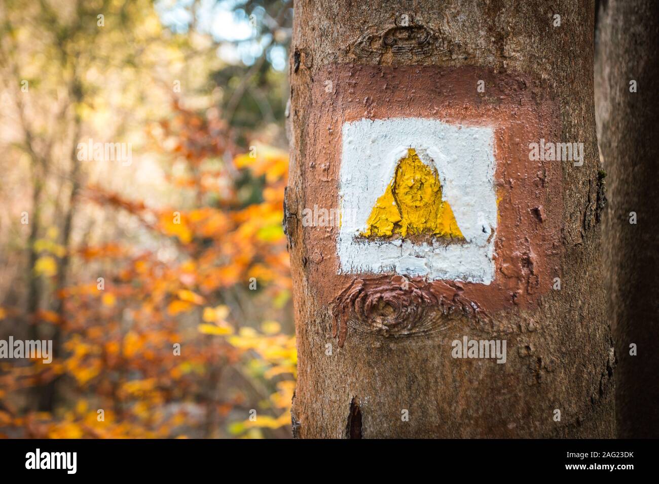 Touristischen Vorzeichen oder Markierung auf Baum neben touristischen Pfad mit schönen Herbst Szene im Hintergrund. Forrest Trail. Stockfoto
