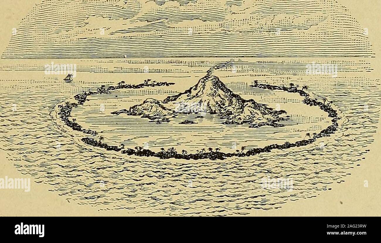 . Elementare physische Geographie;. LAND UND WASSER 49 Cles. Die Inseln selbst populär sind ascoral Inseln bekannt. Die Korallenpolypen, von deren Mineral diese Überreste Inseln und reefsare gegründet wurden, sind ein Tier Wachstum nicht anders als ein Baum und seine Zweige. Der Mund der Polyp komplett seine obere Fläche somewhatas die Blüten der königskerze Malve oder Cluster über den Schaft. Ina single Community das Wachstum der Polyp hauptsächlich nach oben ist, aber wherethe Gemeinschaften sind dick geclustert, deren Äste Interlock andfinally eine kompakte Masse bilden. Der lebendige Teil des Coral Reef isat Stockfoto