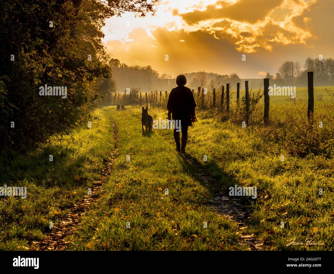 Femme qui promène son Chien sur un Chemin de campagne en Fin de journée Face au Soleil d'automne qui Perce les Nuages avec de magnifiques Rais de Lumi Stockfoto