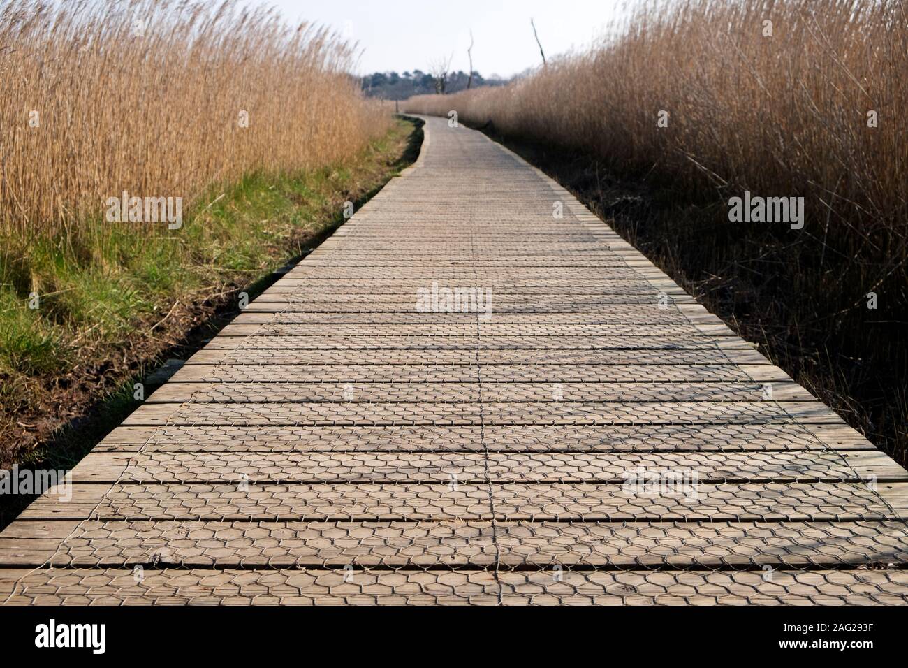 Öffentlichen Fußweg von Snape zu Iken Suffolk Stockfoto