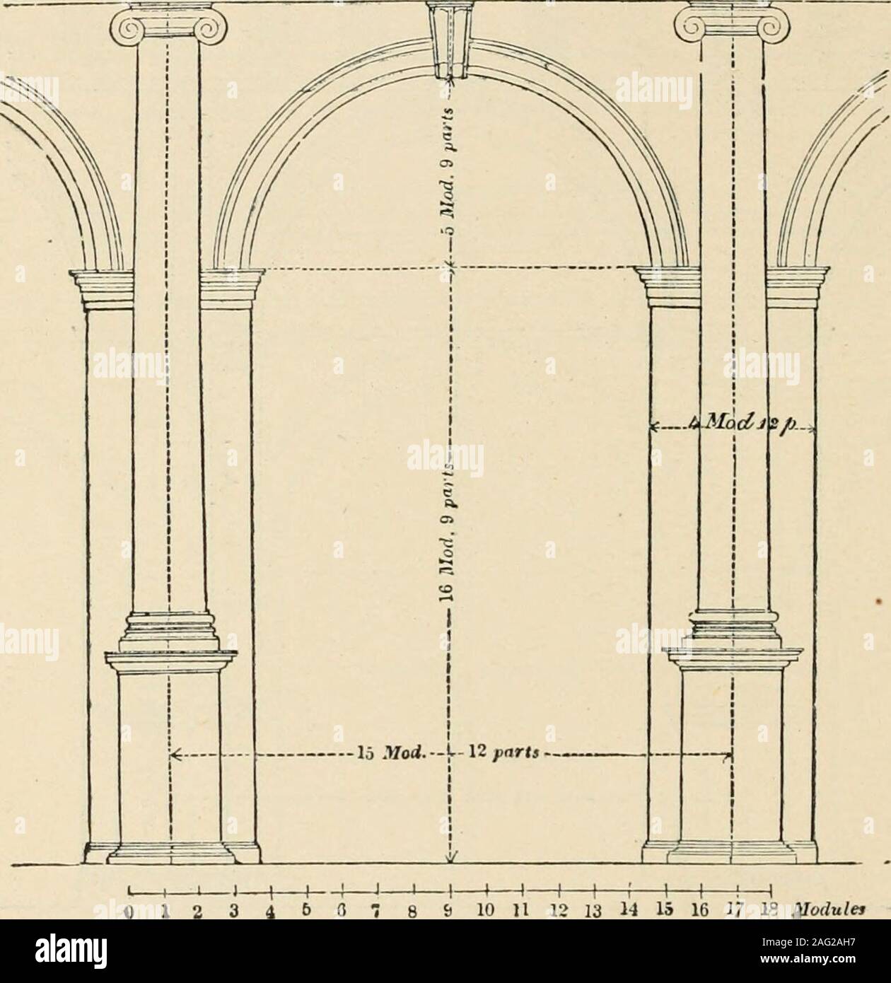 . Eine Enzyklopädie der Architektur, historische, theoretische und praktische. Neue Ed., Rev., Teile neu geschrieben und mit Ergänzungen von Wyatt Papworth. 14 15 16 17 le ilodules Abb. 905. Ich! 630. Die Ionische Arkade mit einem Sockel ist in /ig dargestellt. 905. Der gesamte Bereich ist 44 8 zwischen den Achsen der Spalten; dass der Leere, 228. Die entablatures Bereich ist 7,5 und tlie tragende Teile 146. Das Verhältnis also, der tlie Last auf den sujiport ist 7 i?i=• und unterstützt und Gewichte sehr knapp sind, die der nichtigen gleich. Die Höhe des]) edestal ist 6 Module, die Eröffnung II-Module und die Breite einer Pier 4 Module Stockfoto