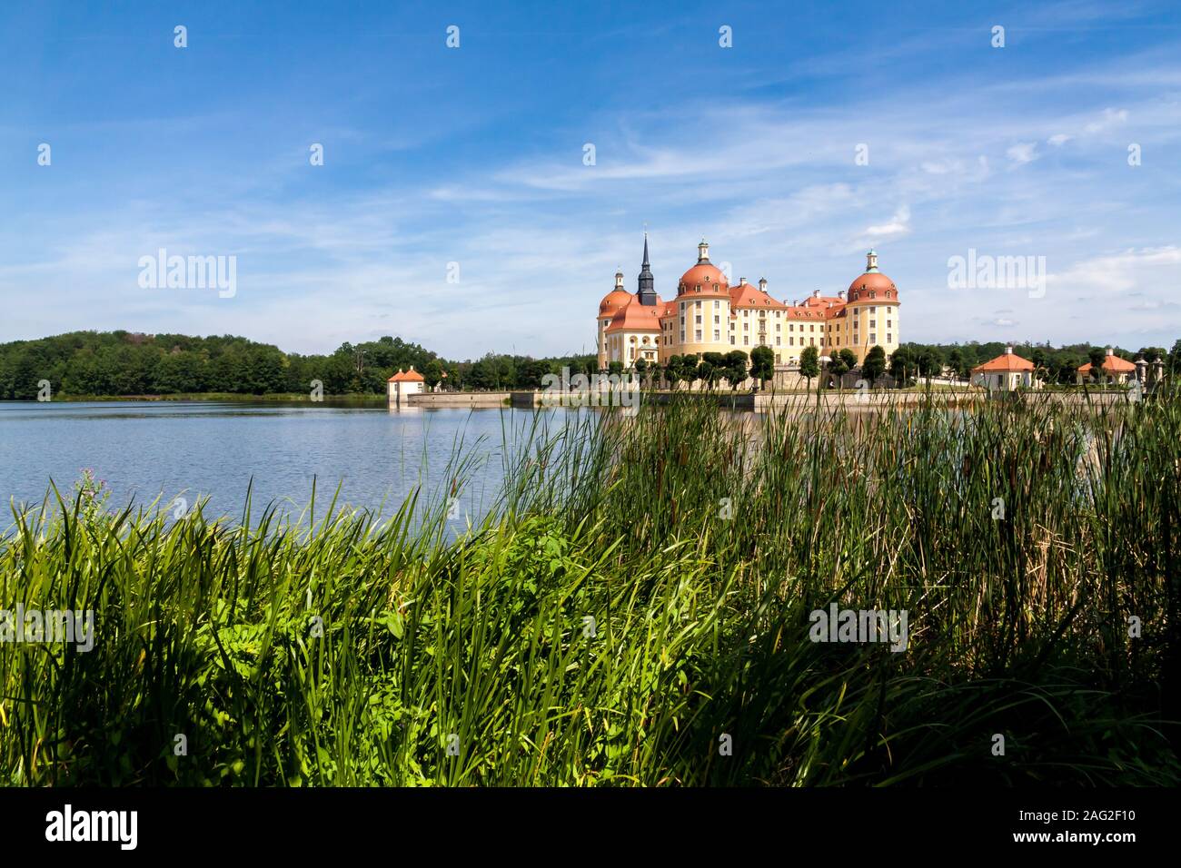Das Wasser Schloss Moritzburg in Sachsen, Deutschland Stockfoto