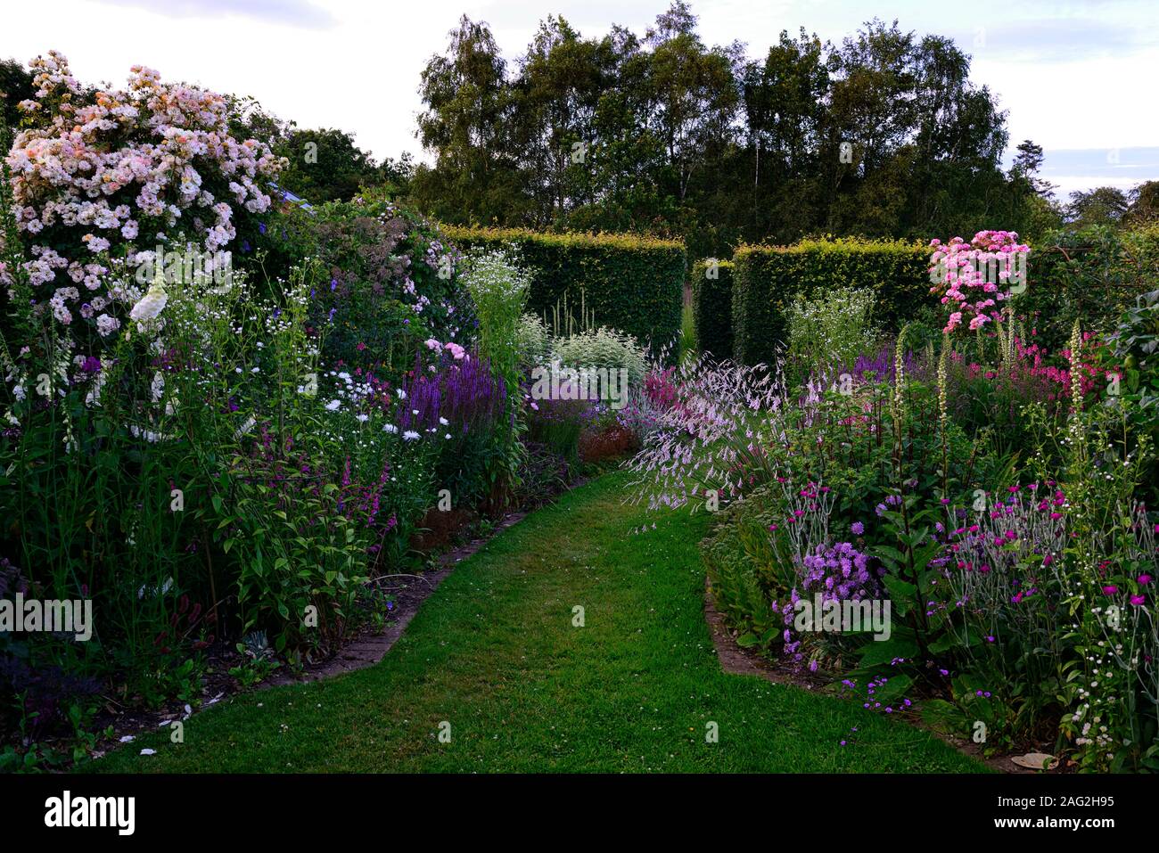 Dangling Flowers Stockfotos und bilder Kaufen Alamy