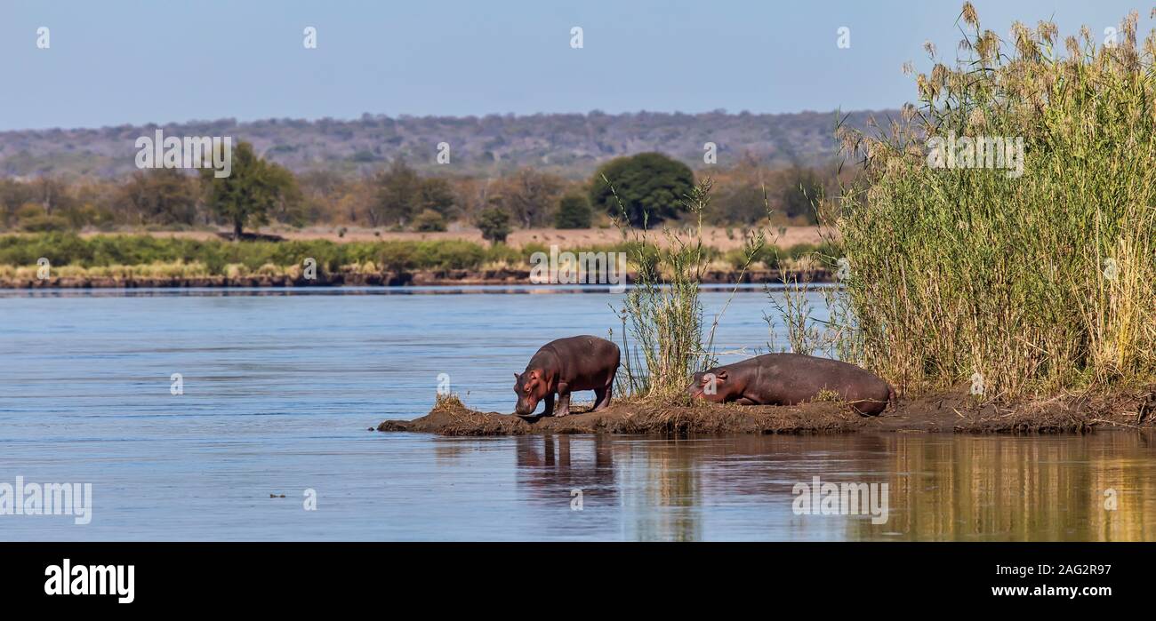 ROUTE 62 SÜDAFRIKA KLEIN KAROO Stockfoto