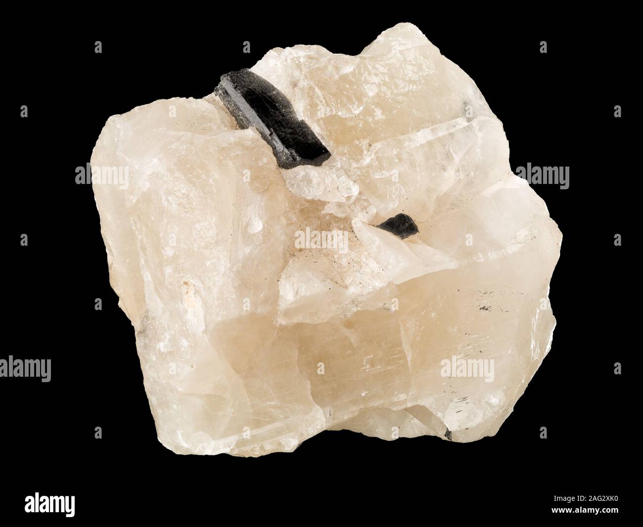 Schörl (schwarzer Turmalin) crystal Embedded auf Quarz Matrix auf schwarzem Hintergrund Stockfoto