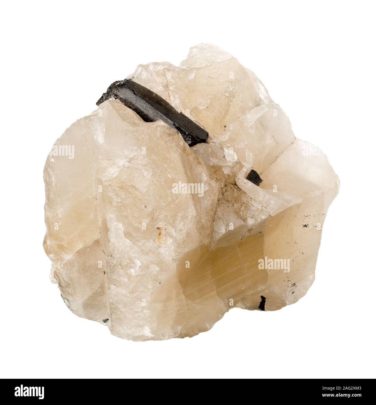 Schörl (schwarzer Turmalin) crystal Embedded auf Quarz Matrix auf weißem Hintergrund Stockfoto