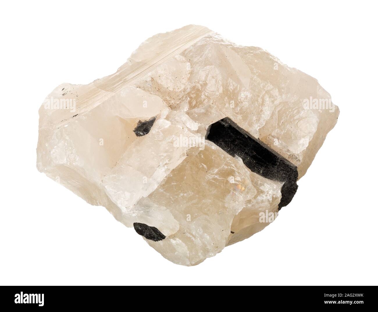 Schörl (schwarzer Turmalin) crystal Embedded auf Quarz Matrix auf weißem Hintergrund Stockfoto