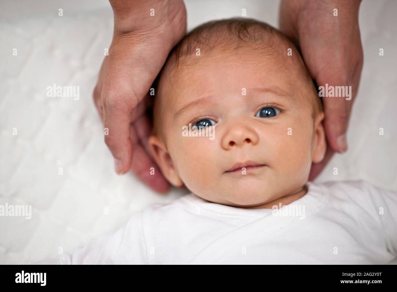 Baby's Kopf sanft in großen Händen. Stockfoto