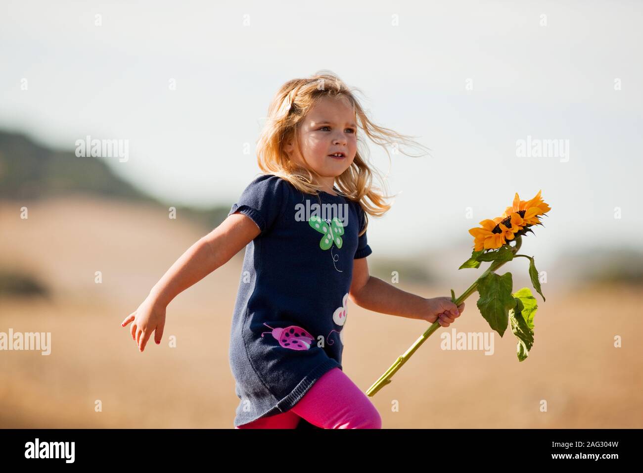 Junges Mädchen mit Sonnenblume. Stockfoto