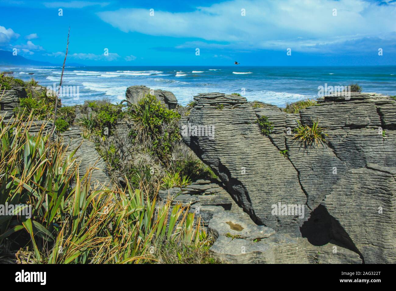 Pancake Rocks in der Nähe von Punakaiki, Südinsel, Neuseeland Stockfoto