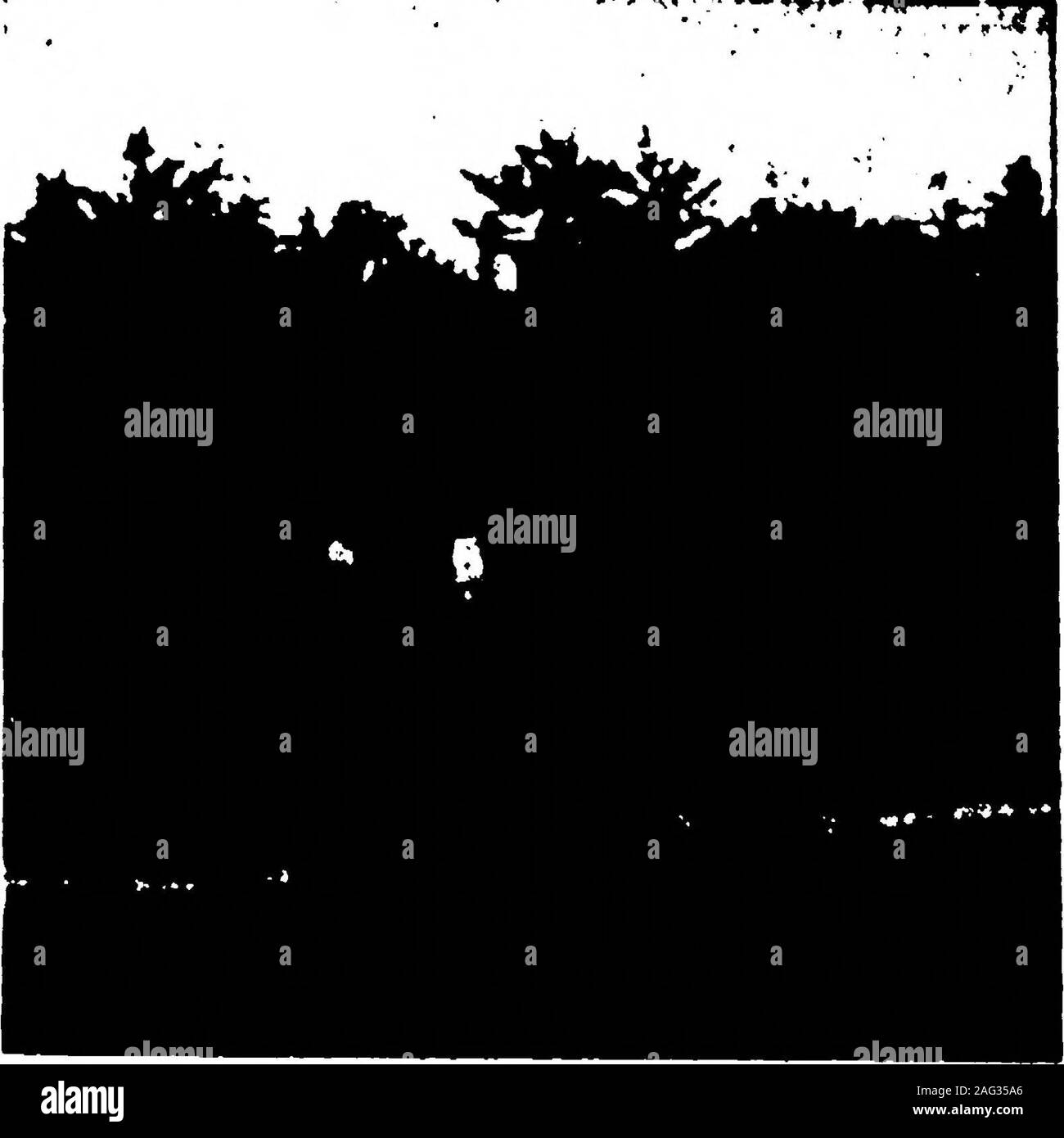 . Die kanadische Krankenschwester. w Wasser oder schwimmen, wo die wateris tief. Es gibt Kanus und Ruderboote - ohne Aufpreis! Wenn Sie reallylazy fühlen, können Sie nur Loll auf der largeveranda genießen den Blick auf See, Inseln und Berge. Ein paar Tage Ruhe, belebende Luft, herrliche Mahlzeiten, friedlich schläft und wird in den Startlöchern, den Spaß zu verbinden. Ornithologen wird in der Wildbird Leben begeistern. Es gibt eine unendliche Vielzahl ofcolor und Gesang der Vögel selten gesehen in den Städten. Fotografen verwenden alltheir Filme und mehr. Art Künster selten aus theirpaints getrennt werden. Astronomen werden thestars Watch Stockfoto