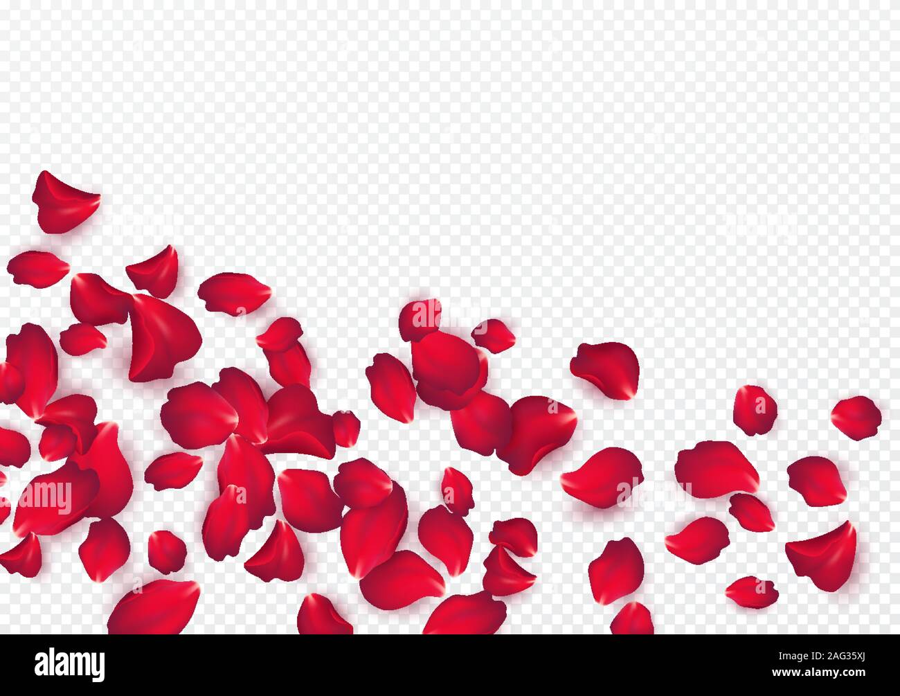 Hintergrund der Rosenblätter auf einem transparenten weißem Hintergrund. Valentinstag Hintergrund. Vector Illustration Stock Vektor