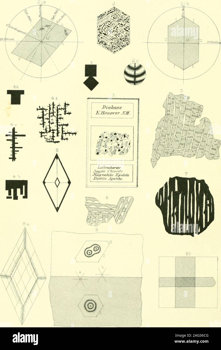 . Die Geologie von New Hampshire: einen Bericht erstellt, der die Ergebnisse der Erkundungen durch die Legislative bestellt. 10. Lytnan Gronp. Nr. 143, 144, 164-166, 168, 174, 183, 197-199, 242, 249; - cut byNos. 16, 17, 18. Swift-Wasser-Serie, 167 und goldhaltigen Konglomerate, 236. Merrimack Groiip. Nr. 140, 204, 175. Eisenhaltige Schiefer Gruppe. Nr. 240. Rockingham Gruppe. Nr. 154, 45, 207. Kearsarge Andalusit Gruppe. Nr. 134, 141, 146, 156-158, 163. Cambrian Schiefer. Nr. 99, 169-171, 173, 181, 182, 232, 234, 235, 239. CotJs Gruppe (Quarzit von Vol. II). Nr. 186-188, 190-193, 200, 203. Schiefer und Glimmer Stanrolite Stockfoto