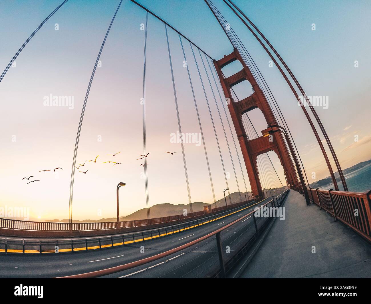Ein Fisch Auge geschossen von der Golden Gate Bridge und wunderschöne Vögel fliegen in der Luft während des Tages Stockfoto