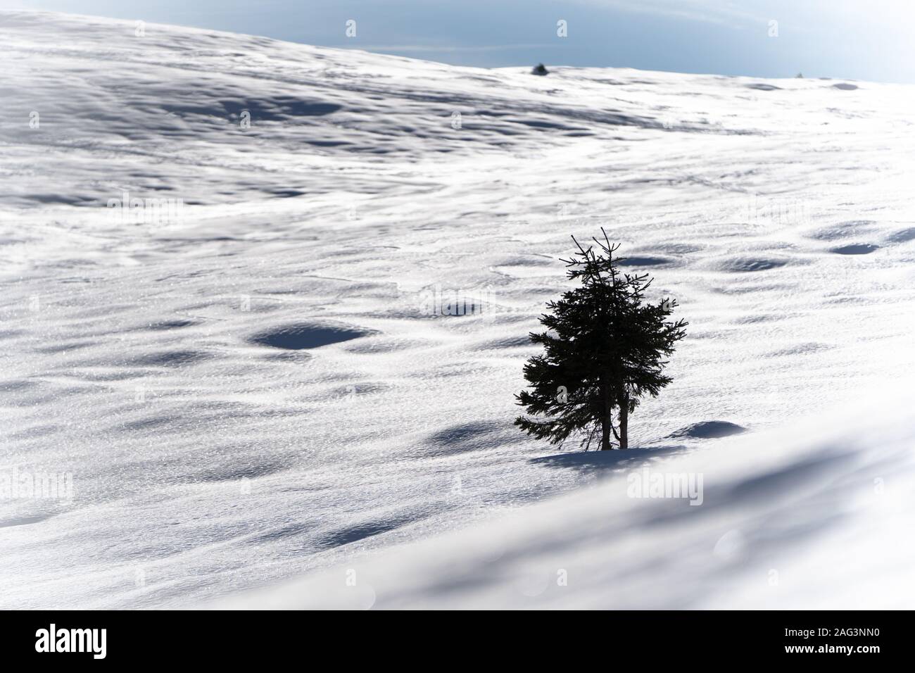 Einsamer Baum im Schnee mit ein wenig der Himmel Stockfoto