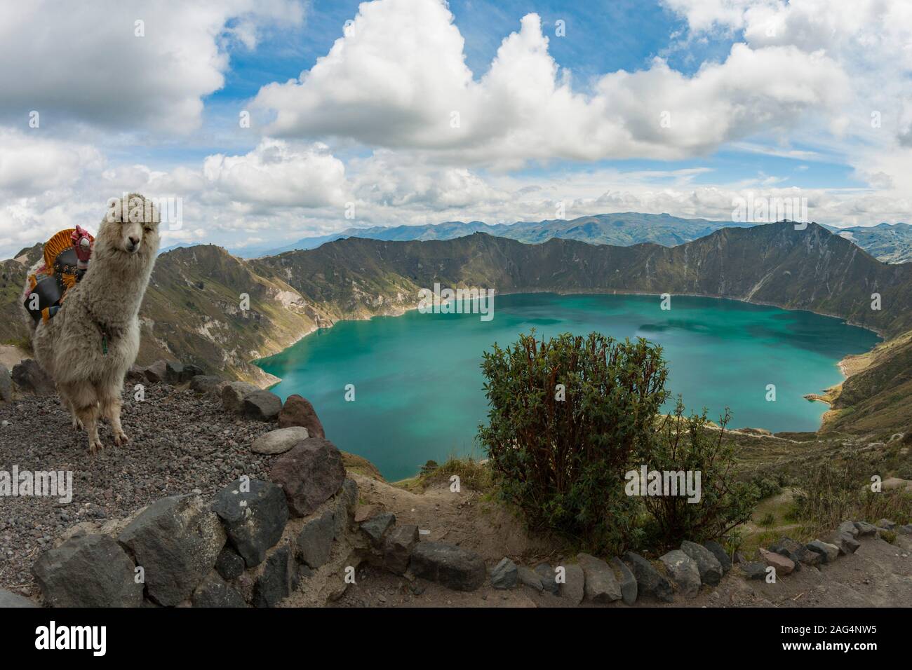 Den See in der Caldera des Quilotoa Vulkan in Ecuador. Stockfoto