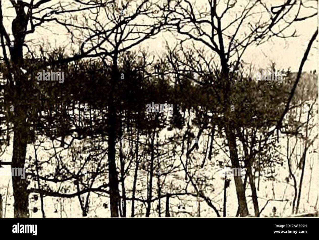 . Der Förster. Der Förster - 1917 10 - Wo ist die Scotchman, das Thistle lovesnot? Wo ist der Engländer, der die Rose lovesnot? Wo ist die wahre-hearted Sohn ofLake Wald Wer liebt nicht die Stelle, wo theoak Baum wächst?. HERES EIN SONG FÜR OLDLAKE WALD. Hier ein Song für die alten See borest. Wo das Leben ist frei von Cave: Wo Xature lächeln gelassen. Und die Feder ist hell und fair; Zu den Hallen der Alma MaterWe verdanken unsere Loyalität, und die lieben alten Söhne von L. F.C., Neer vergessen er Whereer Unsere Reise führt uns Oer lifes untrodden Weise Lake Forest, überhaupt mit uns Deine Erinnerungen bleiben wird; und Frie Stockfoto