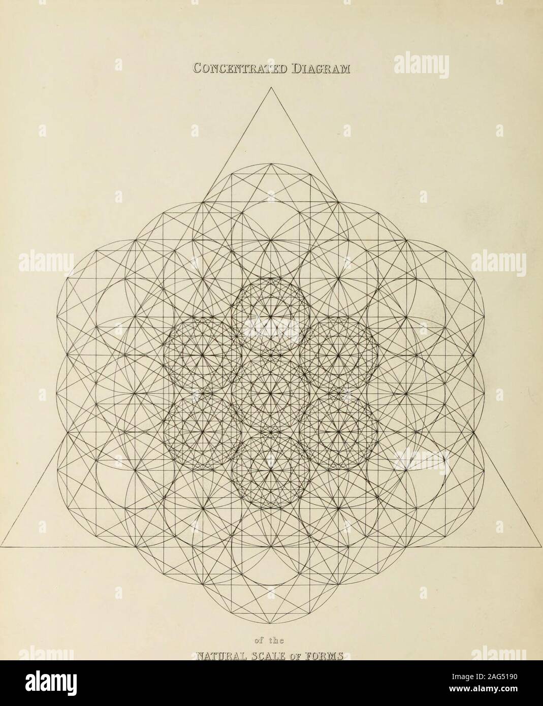 . Die natürlichen Prinzipien und Analogie der Harmonie der Form. Die natürlichen PRINZIPIEN UND ANALOGIE DER HARMONIE DER FORM. Von D. R. HEU, dekorative Maler der Königin, Edinburgh; EHRENMITGLIED DER KÖNIGLICHEN INSTITUT DER ARCHITEKTEN VON IRLAND, UND AUTOR VON DEN GESETZEN DER harmonischen Farbgebung, etc. überall dort, WO DER BESTE GESCHMACK UNTERSCHEIDET SICH VON DEN SCHLIMMSTEN, weil ich davon überzeugt bin, dass die UNDERSTANDINGOPERATES, UND SONST NICHTS. - Burke auf T!ie Erhaben und Iieszutiful. WILLIAM BLACKWOOD UND SÖHNE, 45 George Street, Edinburgh; und 22 PALL-MALL, LONDON. MDCCCXLII. EDINBURGH: PBINTED DURCH IiAI - LAXTYNE UND HUGHES. PAL L S Stockfoto