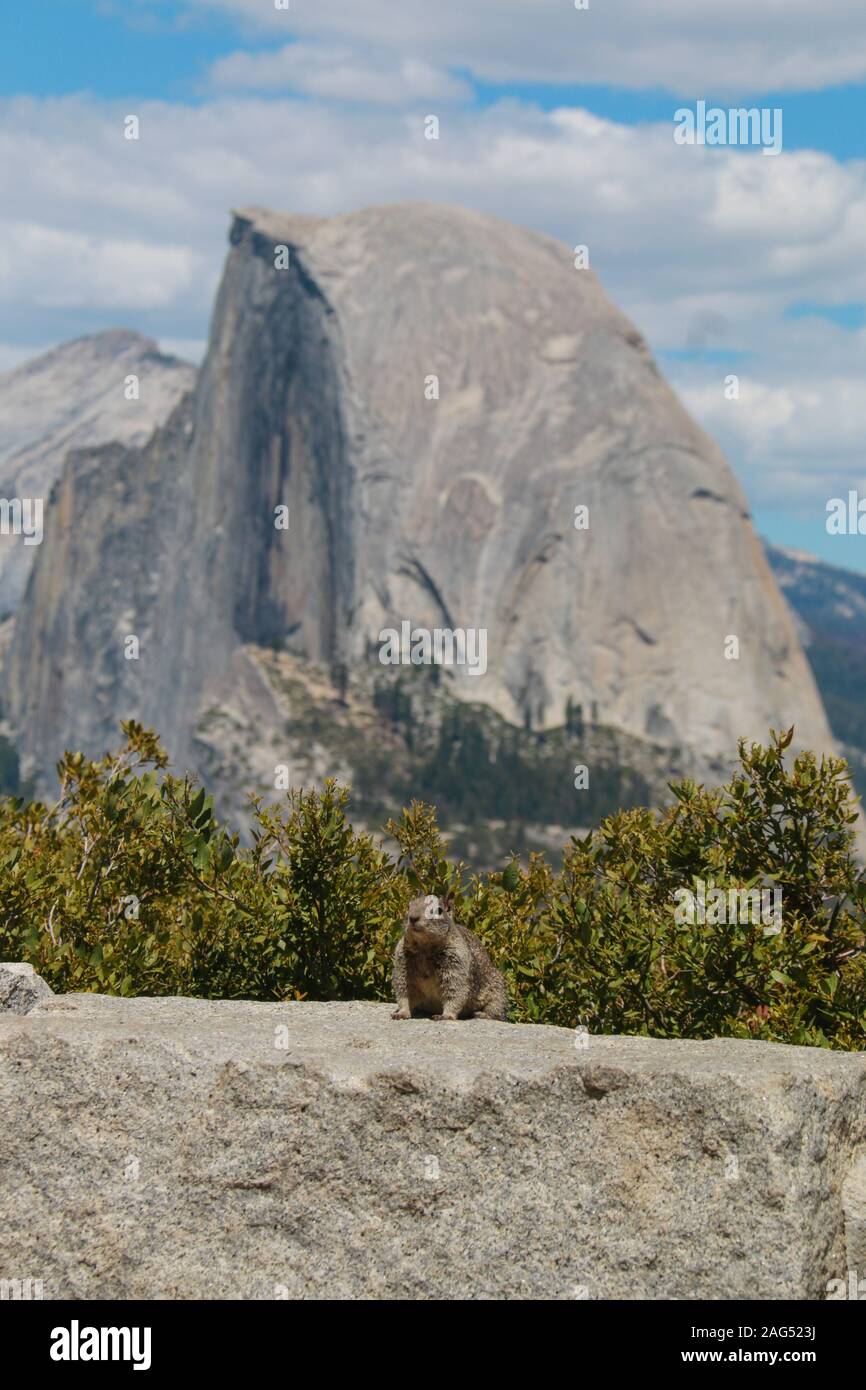 Half Dome, Yosemite-Nationalpark Stockfoto