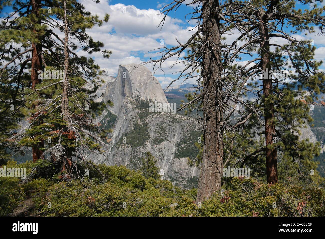 Half Dome, Yosemite-Nationalpark Stockfoto