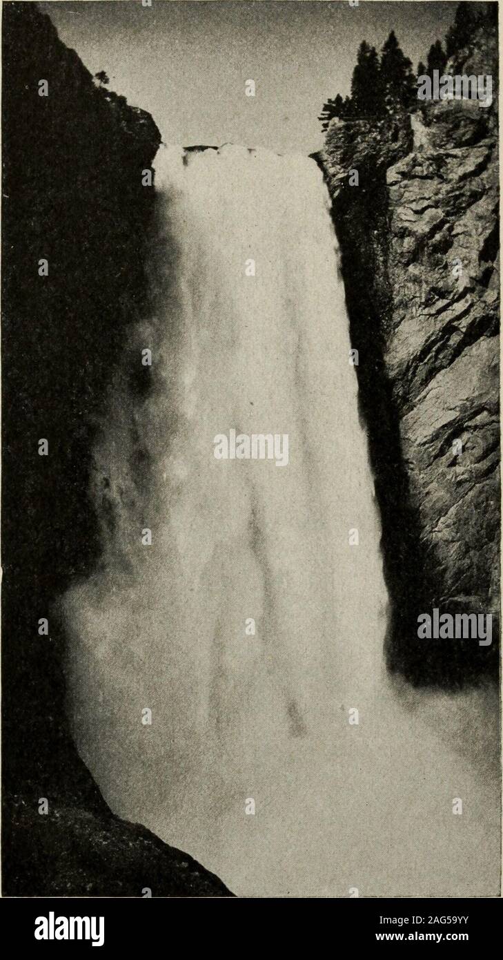 . Haynes' Guide zum Yellowstone Park. Der Weg an den Rand des Unteren fällt, nach der (zu Fuß) Der visitorsoon auf einer natürlichen Plattform der Fels, auf Thevery Rand des Canyon steht, mit Blick auf die schrecklichen plungeof brodelnden Gewässern. An diesem Punkt, den Fluss, thoughsome 250 Fuß in der Breite ein kurzer Abstand oben, narrowsto nur siebzig - vier Füße, und während die Aussicht ist grandalmost jenseits Ausdruck, es ist nicht die beste, ob sein - wörtlich - "auf die Wasserfälle. Point Lookout und Red Rock beingregarded die besten Punkte, von der aus Sie zu sehen; wie immer, wahrscheinlich keine bessere Aussicht (sicherlich keine morecomprehen Stockfoto