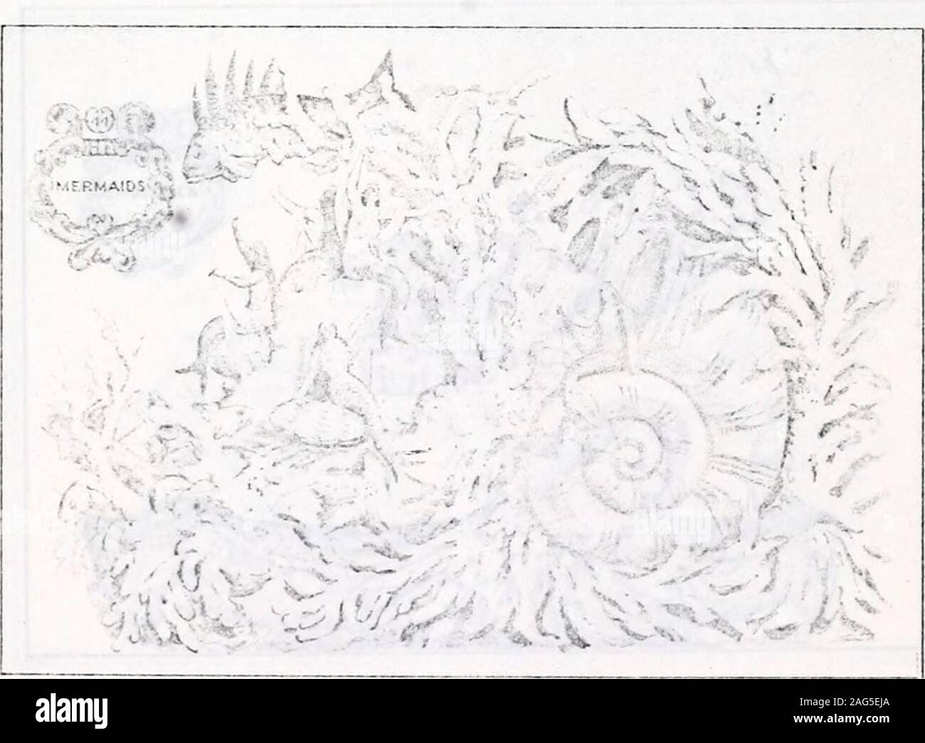 . Die Hudson-Fulton Feier 1909, der vierte Jahresbericht des Hudson-Fulton feier Kommission an die Gesetzgebung des Staates New York. Der Legislative übermittelt werden, kann 20, 19 10. FLOAT Nr. 43: Gl^ RMANiA. r LOAT Nr. 1 I: lf RMAIIl CARM l. IARADL 5. C CLI. Ich;. t &Lt;. r!l [I2I5] - ^^t - wenn TAIRICS? •,^i-f------- c: ^^*^."!?" Stockfoto