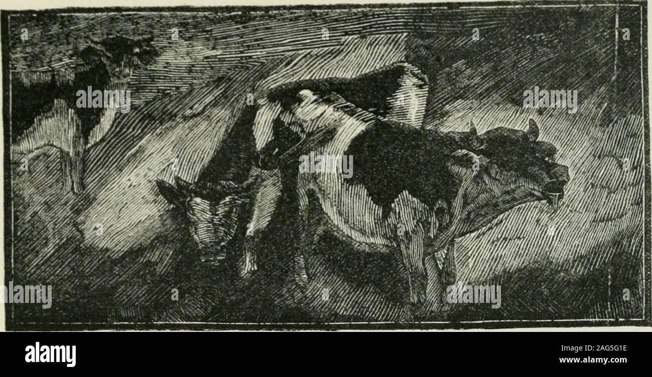 . Maria Chapdelaine: Récit du Canada français. 13. VII JUIN Arriva, et la sécheresse Bienvenue dutemps des foins devint persista et une Katastrophe. Ein de croire Chapdelaine il avait Les ny jamaiseu de sécheresse comme Celle-là, et Chaque jour Quel-que raison Nouvelle, qui était suggérée expliquait lasévérité divme. Lavoine et le Blé jaunirent Avant davoir atteintleur Croissance; le soleil incessant brûla lesregains lherbe et de Trèfle, et du Matin au soir Les vaches Affa - mées beuglèrent, La tête appuyée sur les clôtures. Ilfallut les surveiller sans répit, Auto même Les maigrescéréales Enc Stockfoto