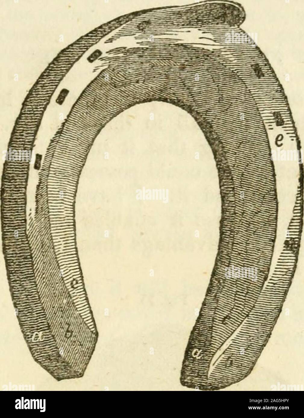 . Des Pferdes Fuß und wie es zu halten. eFulfillment-teilenummer von Con-ihnen Bidering zuerst in Einze], und dann im Vergleich mit Abb. 14, wo Sie korrigiert wurden. Ein 0. Die Fersen, zeigen, dass der Schuh dicker andthicker, wie Sie geht rückwärts, bis Sie eine perfectwedge, dessen Boden komplett Doppel ist die dicke Ofany andere Teil des Schuhs. h h. Zeigen die Marken von der Kruste, die sich auf den Schuh; andprove, die durch das Fehlen einer definierten Abschluss, dass die shoewas zu kurz für den Fuß, und nicht die heelsof den Huf erreicht. c C. Der Sitzbereich, - nur wo eingestellt Stockfoto