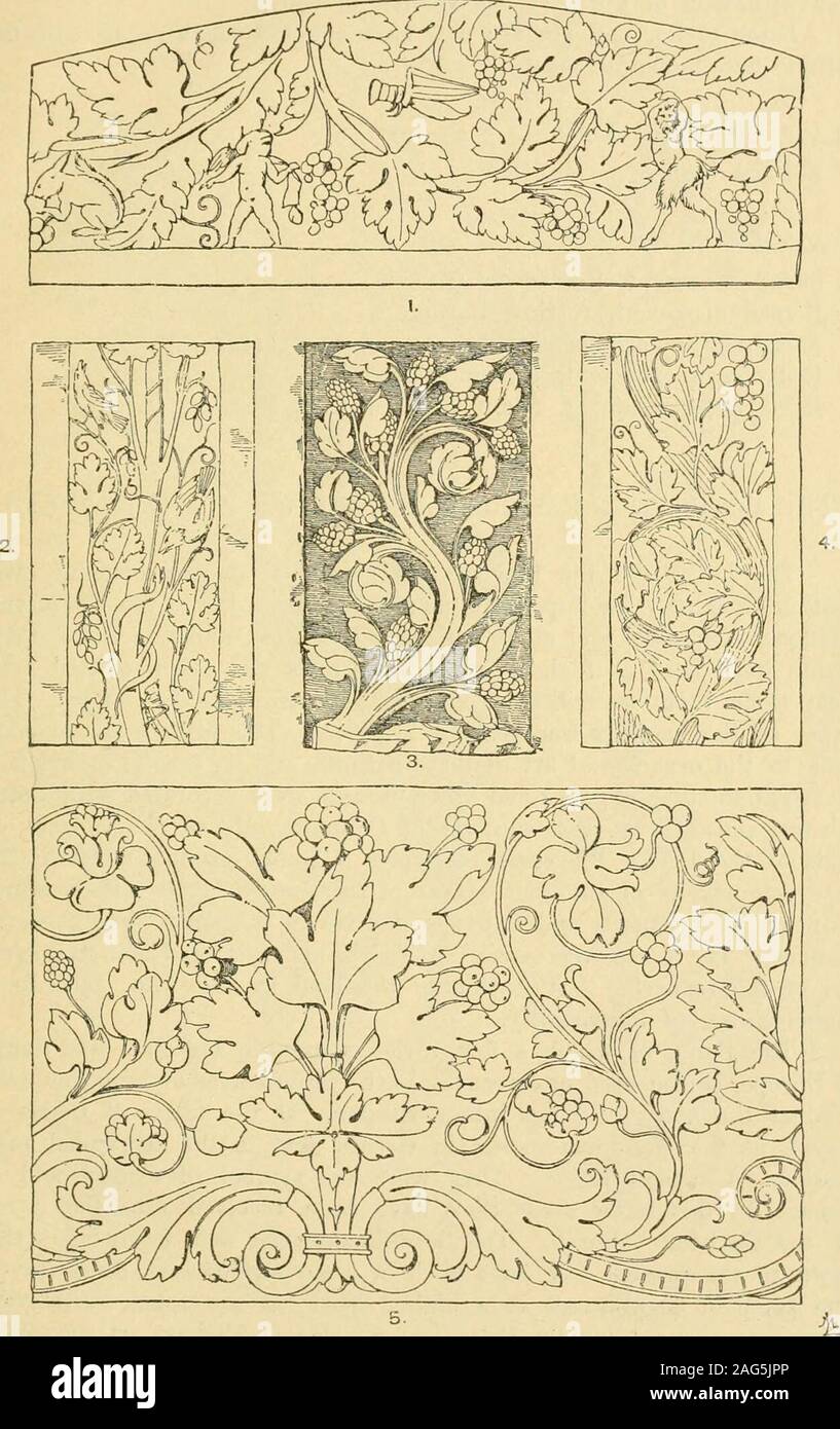 Handbuch der Ornament; eine Grammatik der modernen, industriellen und  architektonischen Gestaltung in allen Branchen, fr praktische sowie  theoretische verwenden. Platte 29. Der Weinstock: Natrlich. Natrliche  Formen. 47. Der Weinstock: Knstliche. Platte