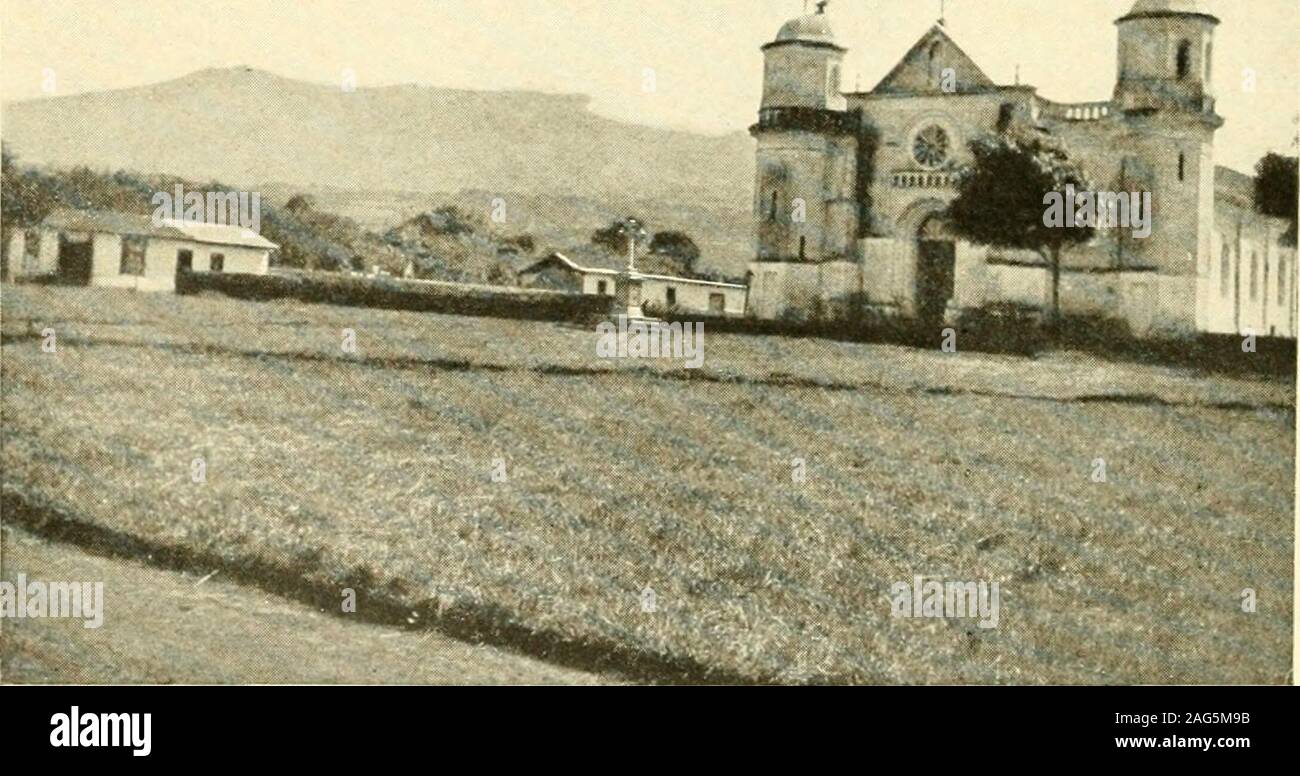 . Ein Jahr der Costa Rica Natural History. Alanzana rosa - Jambosa vulgaris {Eugenia jambosa). steinerne Kirche in Santa Barbara und Vulkan Barba. Zu s. 337 ALA JUEL A und den Vulkan Poas 337 mained auf der Außenseite des Papier abdecken. Ein paar oc-casionally fiel auf die Oberseite des A.s offenen Dach aber nicht versuchen, zu stechen. Eine Wespe wurde gesehen über withsomething weißen hängen von seinem Schwanz fliegen. Es auffällig, dass der wefound weiße Sache zehn Millimeter seiner alimen- Kanal (i.e., Darm und hind Ende der Magen), itspoison Sac und Sting. Der Bauch zeigte keine speciallaceration Stockfoto