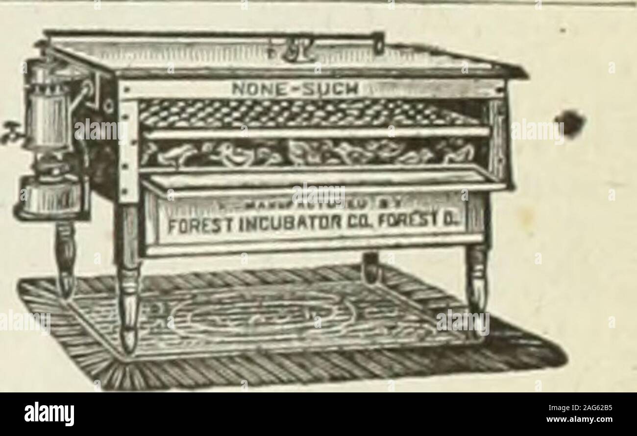 . Die Farm - Geflügel. 1901 erster Preis auf PEN 1901 20. JAHRHUNDERT WEISS PLYM. Felsen 1 alsc.wiui den zweiten Preis auf beste Dutzend Braun Gebühren. Diese Eier en - von der ISL-prämierten Junghennen.! ggs aus diesen Gewinner 5 $ pro sluing. Sechs andere hlghesi Qualität Stifte $ Ich pro Sitzung. Auch Züchter von 1 ARRED S. KOCKS, K.I. ROT, für phantastische aud-Dienstprogramm. GEO. W. ST. Bin ANT, Postfach, 5319, Boston, Mags. Kosten Sie nichts, nicht einen Cent gezahlt, bis versucht. Die KEINE - wie Inkubatoren sind auf 30 Tage testen geschickt. Dies zeigt unser Vertrauen in Sie. Antomaticegg Fach perfekte Belüftung. Reichlich Feuchtigkeit. Selbst die Regulierungsbehörden thatkeep Th Stockfoto