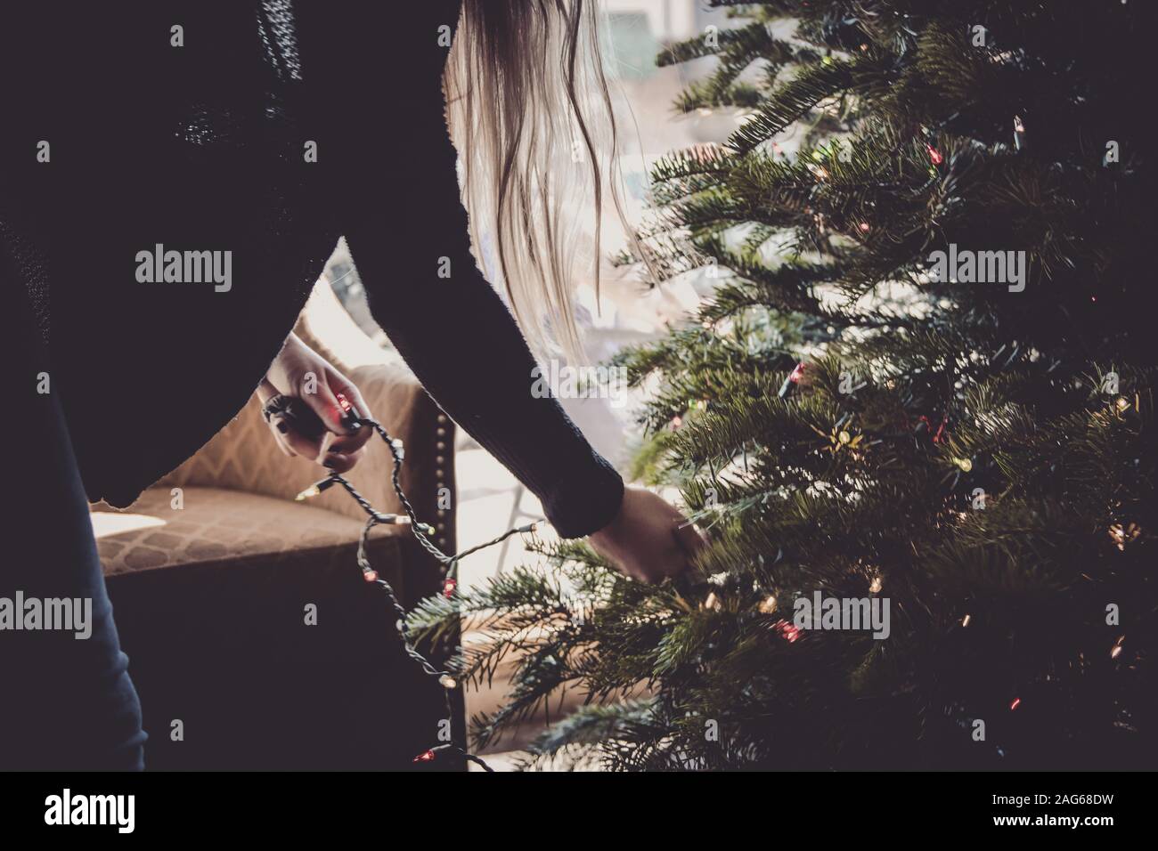 Blonde Frau mit schwarzem Pullover Dekoration der Weihnachtsbaum mit String-LEDs Stockfoto