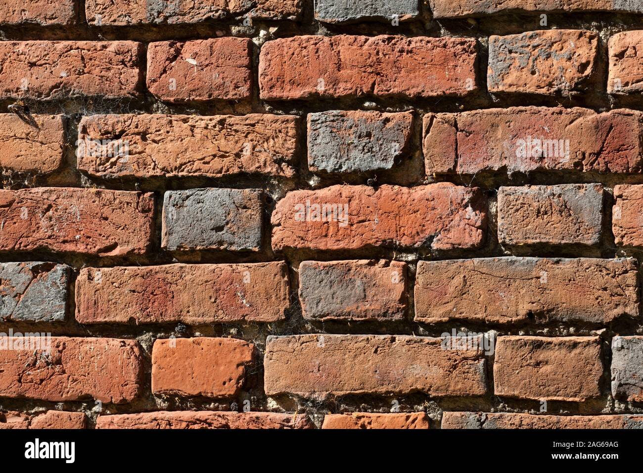 Detailaufnahme der englischen Backstein-Wandstruktur in einem flämischen Bond-Muster Stockfoto
