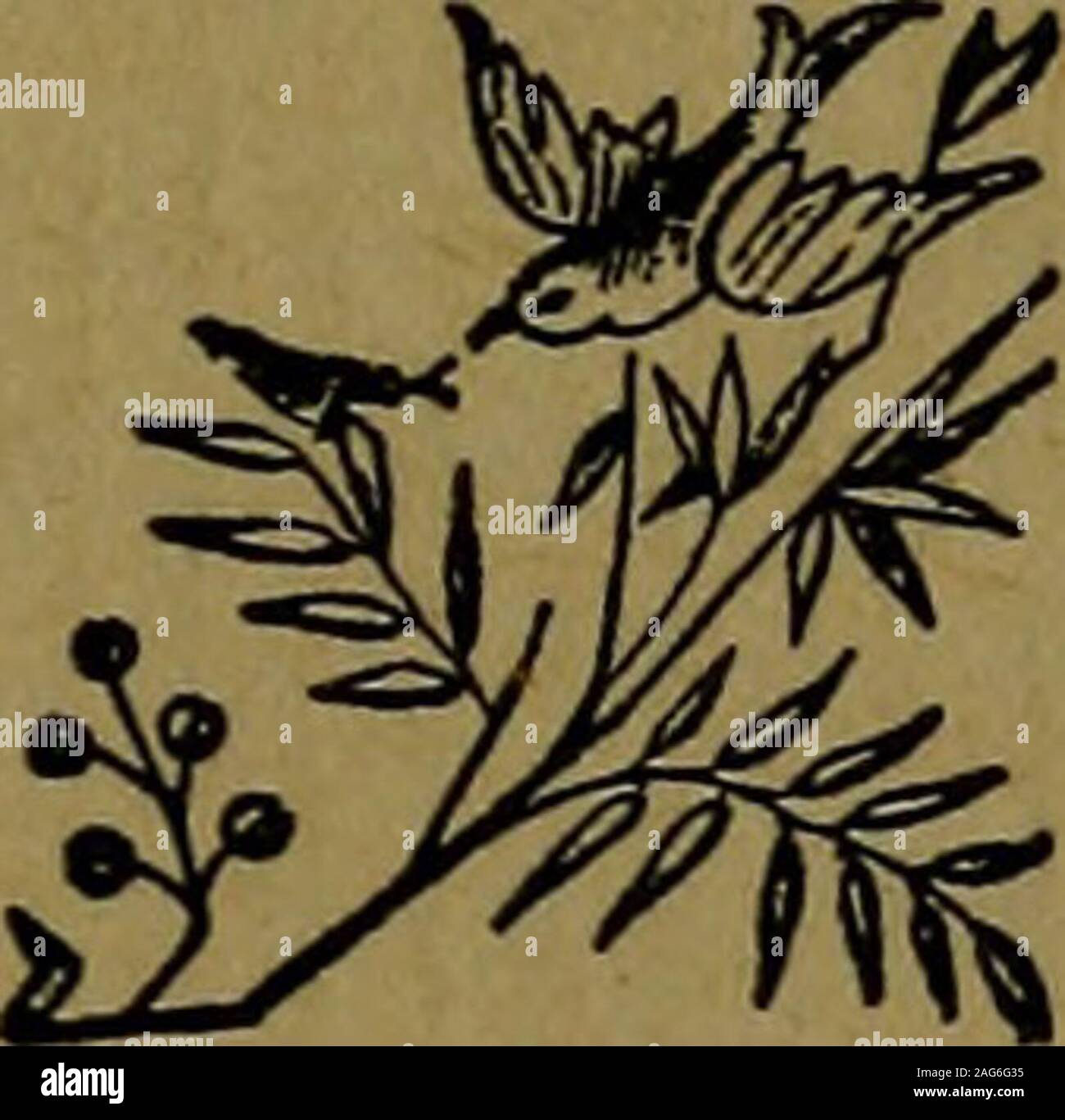 . "Kleine Meg und ich', und andere Gedichte. Ihr erklärte, Darling, meiner Liebe für ein Colleen, junge und faire, deren leuchtende Augen, die Sterne über für Schönheit kann nicht vergleichen; deren Haare würde die Raven erröten, und dessen Wange auch Schande die Rose, deren Stimme so süß, der wie der soor, Tis song whereer geht es. Ich sagte ihr, dass ich geliebt so wahr wie der Ring Taube liebt seinen Gehilfen; ich sagte es ihr, mit einem Kuss für Sie. Meine eigenen süßen Colleen Kate. Ich erklärte ihr, jeder kommenden yearWould machen Sie weit teurer. Mit nicht eine Wolke von Zweifel oder fearOur Glück zu Mar; COLLEEN KA-TE. 49 Ich sagte ihr, dass während das Leben dauern würde, und ein Stockfoto