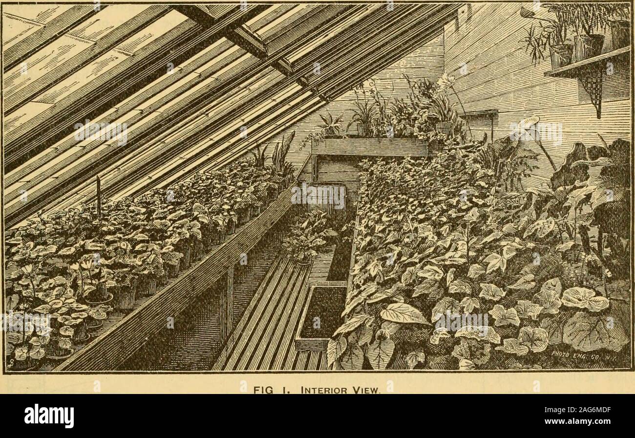 . Des Gärtners monatliche und Gärtner. ingers, und Protest, dass sheknows nur, wie Sie es tun, und hatte nie ein hintfrom jedes, - und so Sie. Aber die beginnen - ners kann es zu stark ist, kann theplants töten. Wir können nur sagen, es nutzen, so dass Es colorsthe Wasser nur in dem Umfang, die sehr dünne coffeewould, - und für ein Anfang mit solchen Artikeln aswe benannt haben, nur so viel mit der wateras würden Sie Kaffee für eine faire Größe familybreakfast verwenden. Belter underdo es zunächst, bis sie in der Lage, leicht auf den ersten zu versuchen und Lernen durch Beobachtung justhow Viel werden die Pflanzen tragen. Was ist das Onem Stockfoto