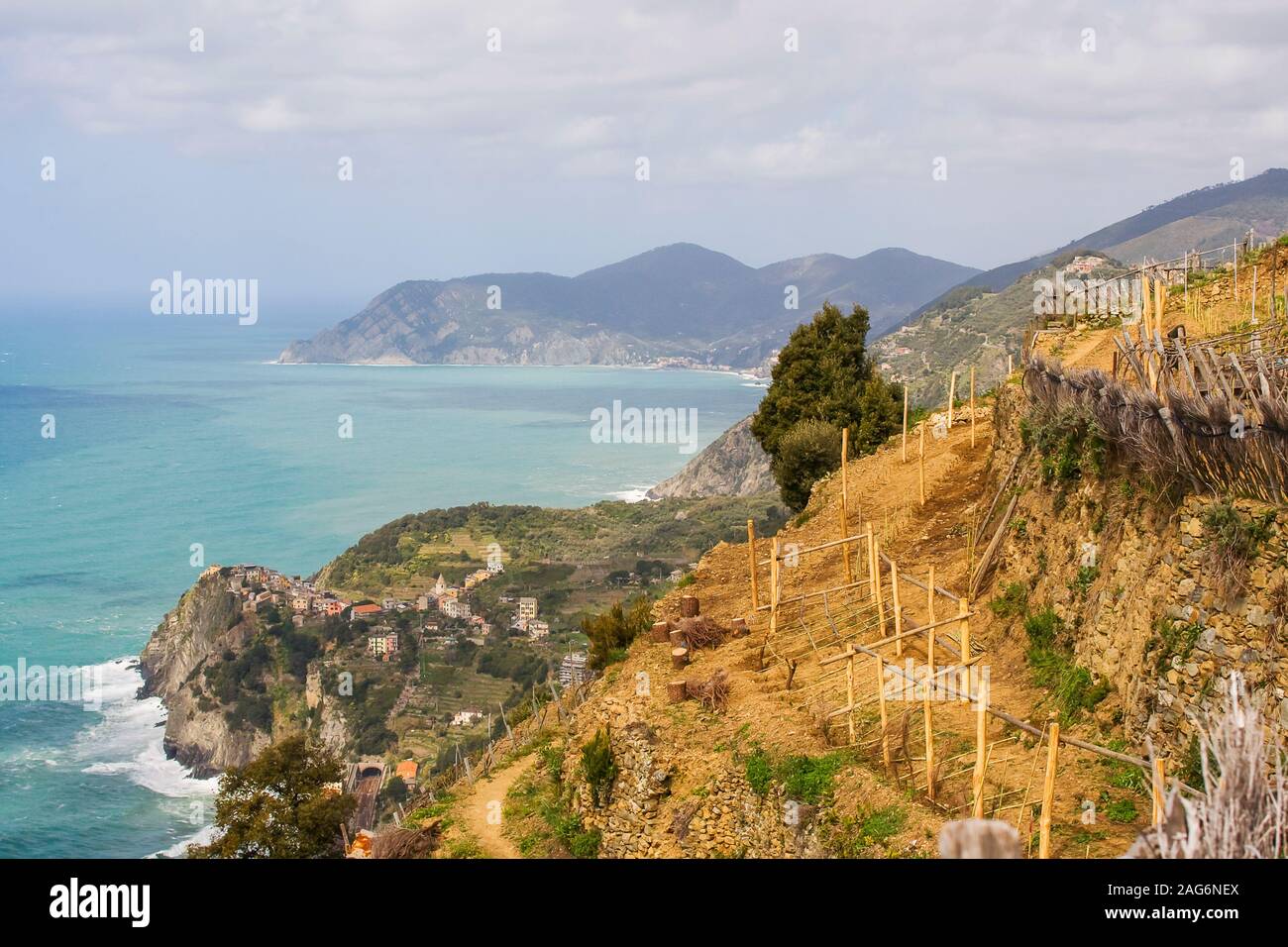 Wanderweg durch die Weinberge auf der mediterranen Küste von Italien in Cinqueterre Stockfoto