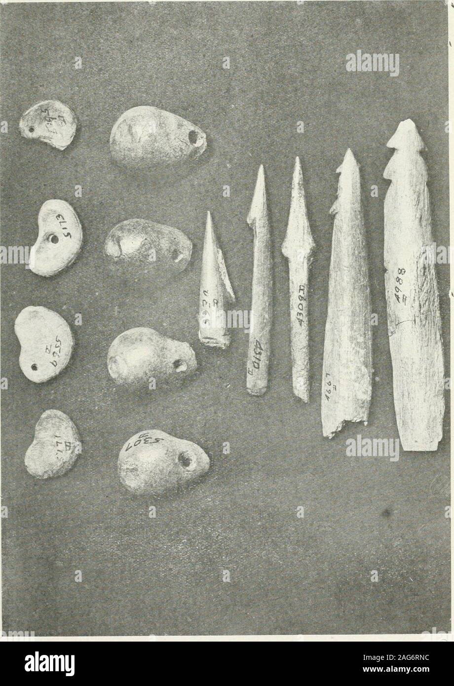 . Ontario Sitzungsdiensten Papers, 1918, Nr. 17-20. Fisch - liooks,! ii) cl J. Diios iKmi wliicli tliey gemacht wurden - Dewey Colleetiou (Troquoian). Archäologische Bericht. 20. Harpunen und Platinen - von Dewey Sammlung (Irokesen). 30 AECH. EOLOGICAL EEPOET. Auf Seite 28 sind ein uuinbcr Knochen fisch dargestellt - Haken, jetzt Im mag-nificent Sammlung von Alvin. Dewey, Esq., der Eochester, NEW YORK, Seite 28 zeigtdie Mittelfußknochen, aus denen diese Haken gebildet werden. Auf der rechten Seite Seite 28 zeigt das Verfahren der Herstellung von der langen Knochen der Vögel. Seite 29 zeigt die Ijone Harpunen, mit Stein net-Platinen. Stockfoto