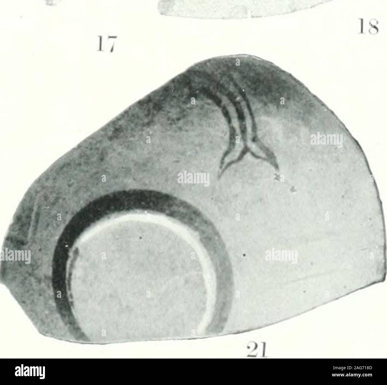 . Ausgrabungen bei Phylakopi in Melos,. Frühen mykenischen verkleidet und flache Schalen (S9). J.H.S. SUPPL. IV (1904) PL. Xvii. Stockfoto
