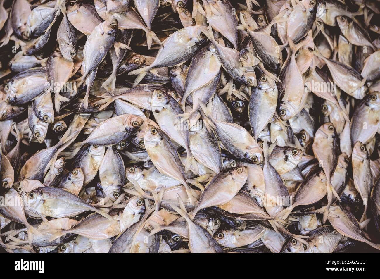 Oben Schuss von kleinen Fischen auf einander Stockfoto